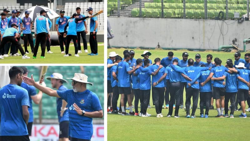 টাইগার