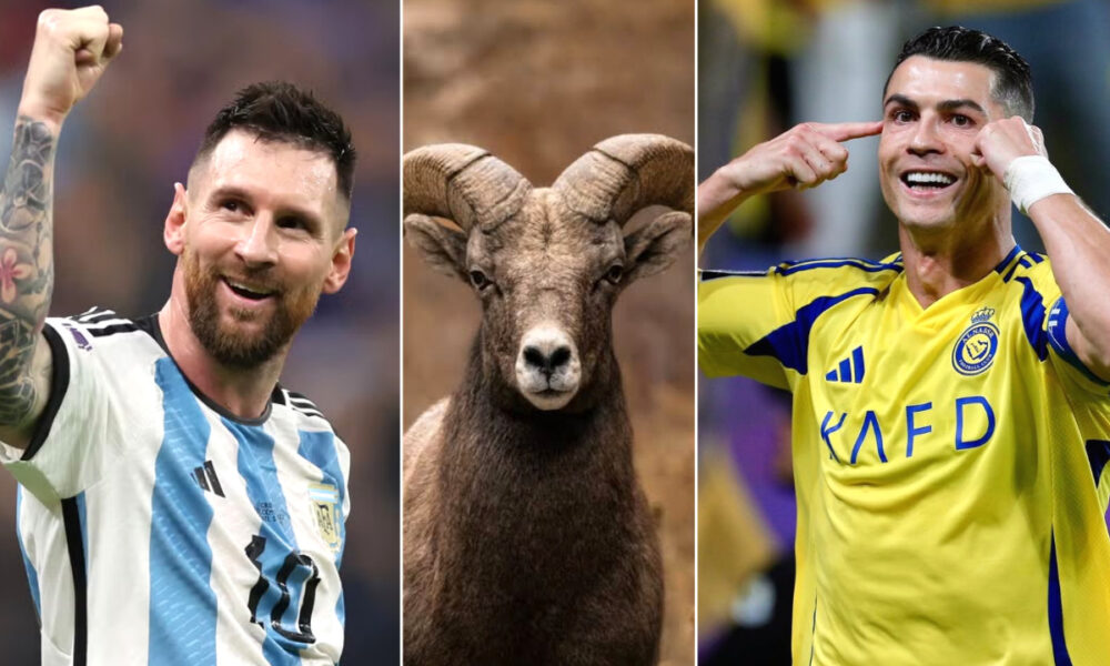 Why Messi-Ronaldo Called GOAT in Football?