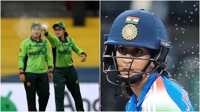 ভারত-পাকিস্তান মহারণে 'মশার উপদ্রব'