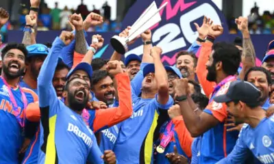 India Celebrates