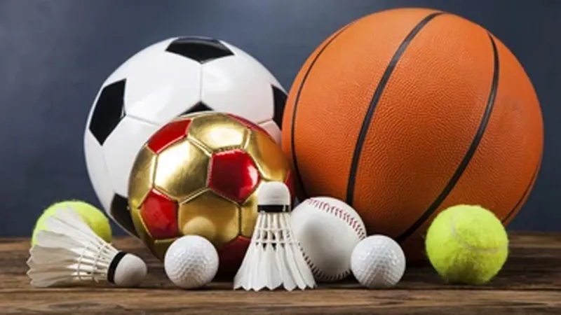 Multi sports
