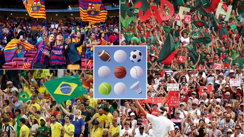 Sports Multi Sports