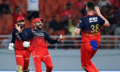 RCB into the 2025 IPL final