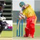 Newzeland zimbabwe todays match
