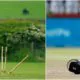 cricket match