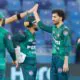 After Haris’s fifty and the bowlers’ brilliance, Pakistan seal a big win.