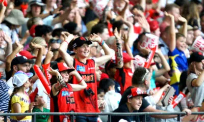 Big Bash cricket fans in gallery