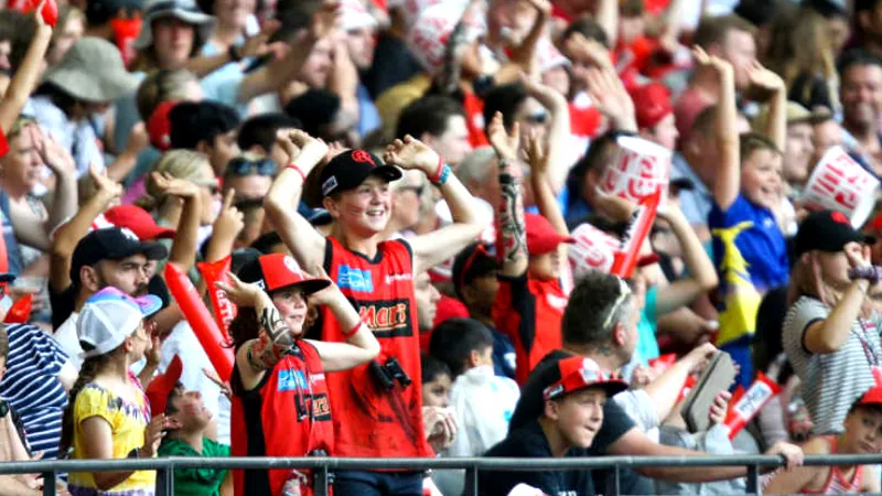 Big Bash cricket fans in gallery