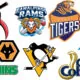 Sports Teams