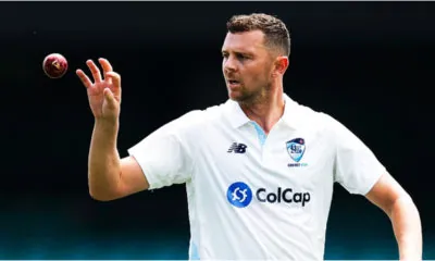 জশ হ্যাজলউড