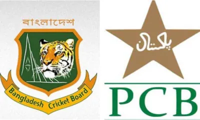 BCB vs PCB