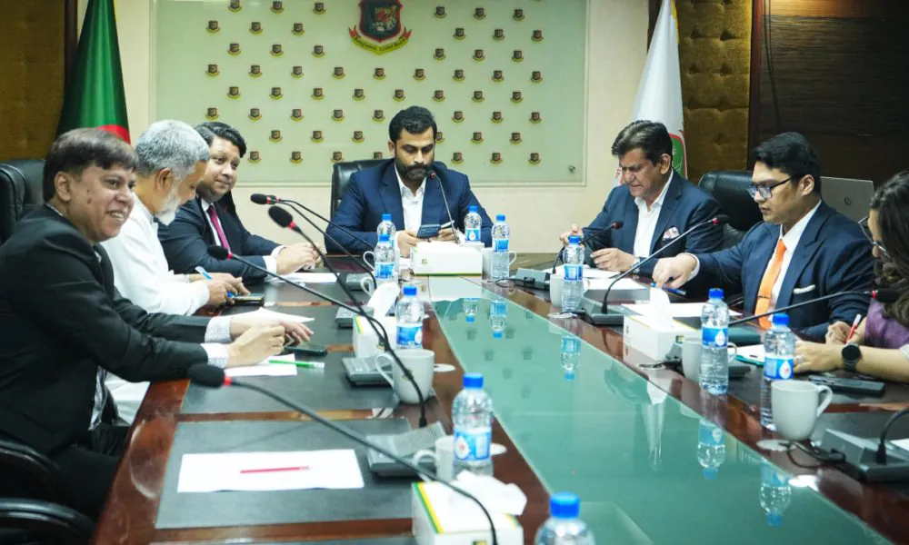 Who got which responsibilities in Tamim’s ad hoc committee